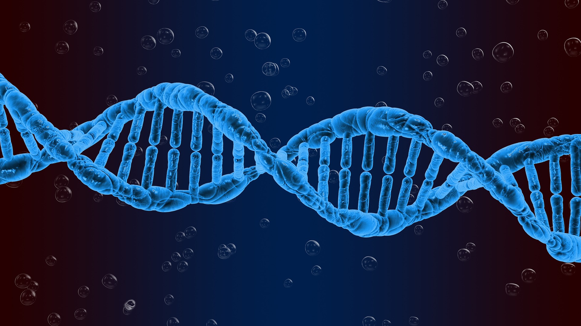 Parkinson's disease genetics