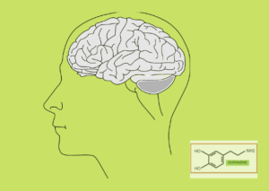 dopamine and Parkinson's