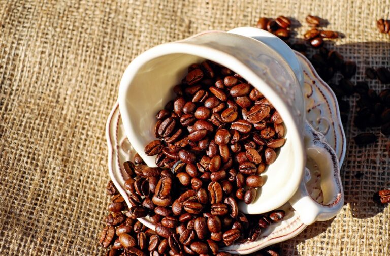 Can Caffeine Protect from Parkinson’s Disease