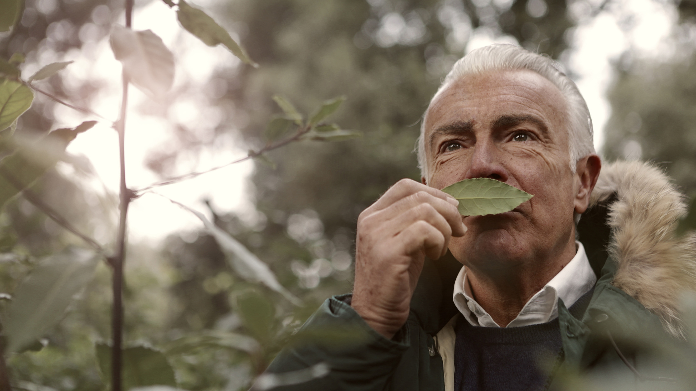 How does Parkinson's disease affect the sense of smell and taste?