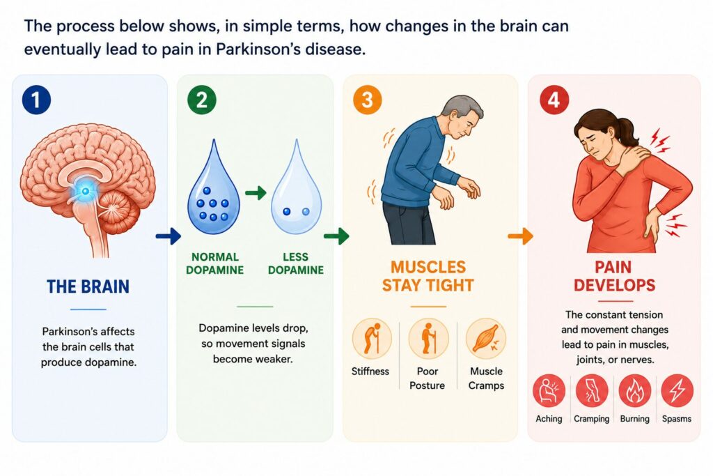 Why does Parkinson's disease cause pain?