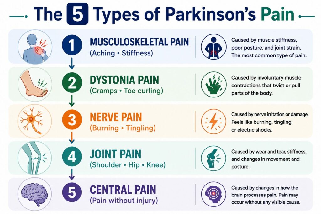 Why does Parkinson's disease cause pain?