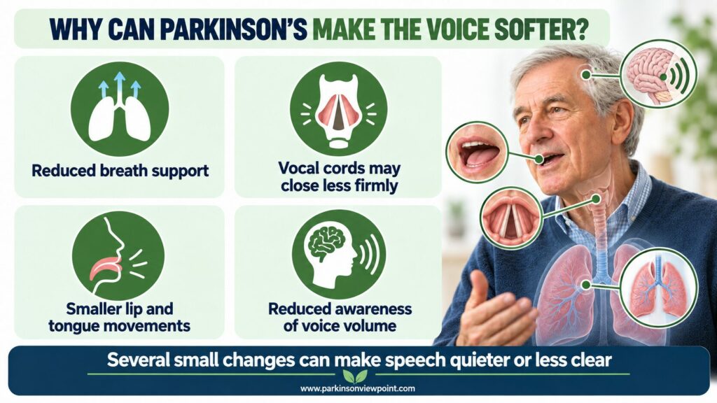Four reasons Parkinson’s may cause a softer voice, including reduced breath support, weaker vocal-cord closure, smaller speech movements, and reduced awareness of voice volume